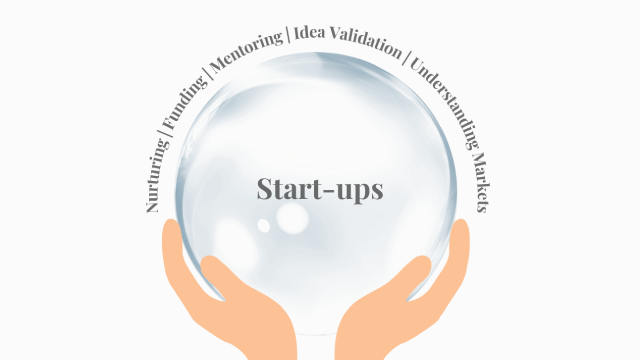 THE START-UP BUBBLE